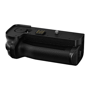 PANASONIC Grip DMW-BGS1E pour S1/S1R