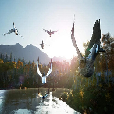 Avis Hunting Simulator 2 (PS4)