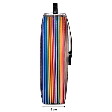 Avis VIQUEL Trieur malette RAINBOW CLASS 13 compartiments PP 10/10e Noir intérieur multicolore