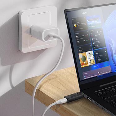 Acheter Avizar Adaptateur de Charge USB-C  vers Samsung Notebook 5.0 x 1.0mm, Noir
