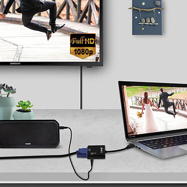 LinQ Câble Vidéo et Audio HDMI Mâle vers VGA Femelle et Câble Jack 3.5 mm  Noir pas cher
