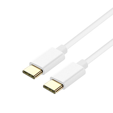 Avizar Câble USB-C vers USB-C Power Delivery Transfert Rapide 1m Blanc