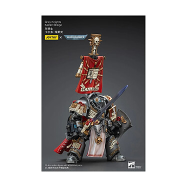 Acheter Warhammer 40k - Figurine 1/18 Grey Knights Kaldor Draigo 12 cm