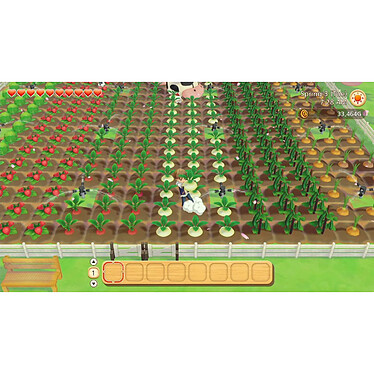 Acheter Story of Seasons Pioneers of Olive Town (SWITCH)