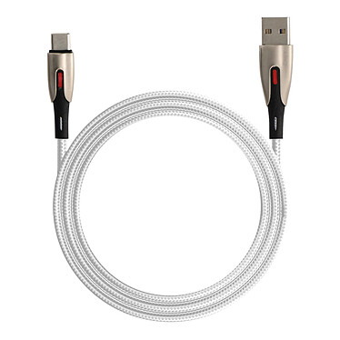 LinQ Câble USB vers USB C Fast Charge 5A Synchronisation Nylon tressé 1.2m Argent