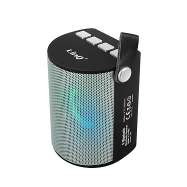 LinQ Enceinte Sans-fil  Bluetooth LED Multicolore Radio FM Port USB micro SD argent