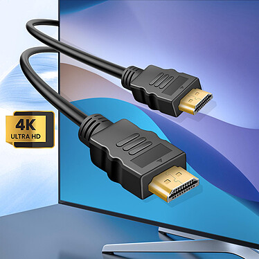 Acheter LinQ Câble HDMI vers HDMI 1.5m HD 4K Adaptateur Micro HDMI et Mini HDMI Noir