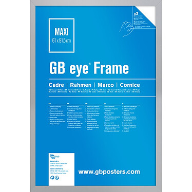 GB eye Cadre MDF Maxi (61 x 91,5 cm) Argent