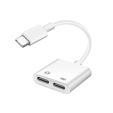 Avizar Adaptateur USB-C Mâle vers Double USB-C Femelle Audio et Charge Compact  Blanc