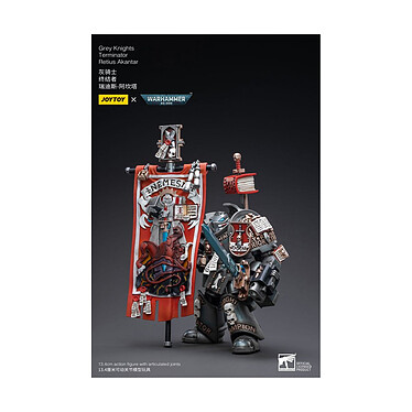 Warhammer 40k - Figurine 1/18 Grey Knights Terminator Retius Akantar 13 cm pas cher