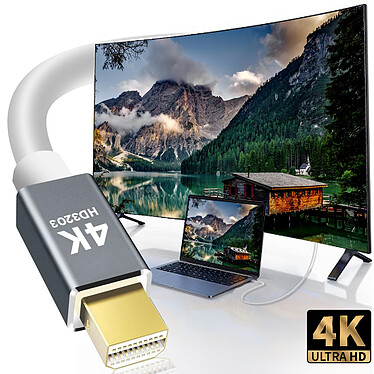 Avis LinQ Câble Vidéo Mini DisplayPort Mâle vers Mini DisplayPort Mâle 1.8m  Blanc