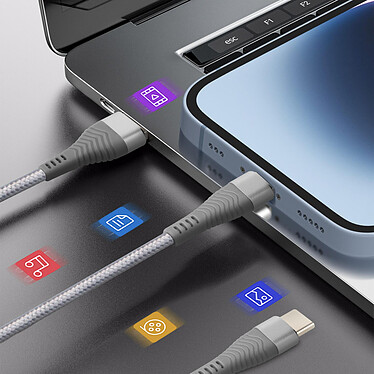 Avis LinQ Câble 3 en 1 vers USB-C MicroUSB et Lightning 70 cm Nylon Tressé Argent
