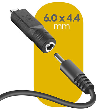 Avis Avizar Adaptateur de Charge USB-C  vers DC 6.0 x 4.4mm, Noir