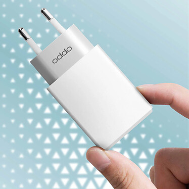 Oppo Chargeur officiel  USB 10W avec Câble USB vers USB C Blanc pas cher