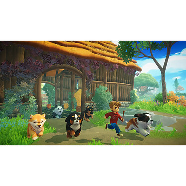 Acheter Everdream Valley Nintendo Switch