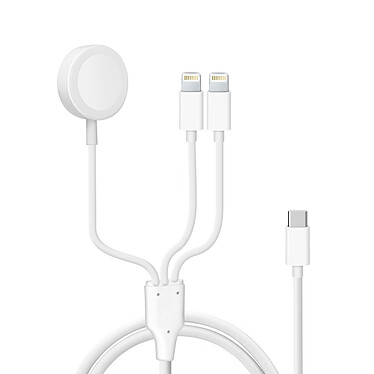 Avizar Câble USB-C vers 2x Lightning et Chargeur Magnétique Intensité 2A  Blanc