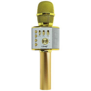 LinQ Micro Karaoké Sans fil Bluetooth avec Haut parleur 5W Autonomie 8H  doré