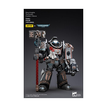 Acheter Warhammer 40k - Figurine 1/18 Grey Knights Terminator Caddon Vibova 13 cm