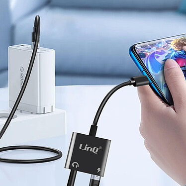 Avis LinQ Adaptateur USB-C vers Prise Audio Jack 3.5mm et Recharge USB-C Femelle Noir