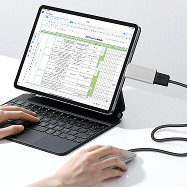 Avis Avizar Adaptateur OTG USB Femelle vers USB-C Mâle Synchronisation Compact  Argenté