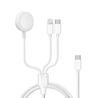 Avizar Câble USB-C vers USB-C et Lightning et Chargeur Magnétique Intensité 2A  Blanc