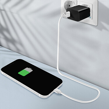 Acheter Clappio Connecteur de Charge pour iPhone 11 de Remplacement Connecteur Lightning Blanc