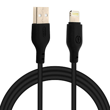 Avizar Câble USB Vers Lightning Charge Synchronisation 2m Anti-nœuds Noir