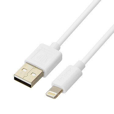 Inkax Câble 1m USB Compatible iPhone iPad iPod 2.1A  Charge