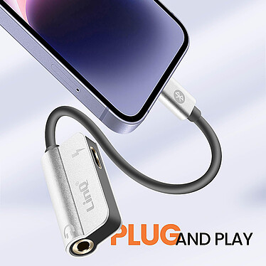 LinQ Câble adaptateur Charge + Audio pour iPhone Argent pas cher