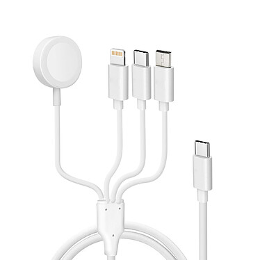 Avizar Câble USB-C vers Lightning, micro-USB, USB-C et Chargeur Magnétique Intensité 2A  Blanc