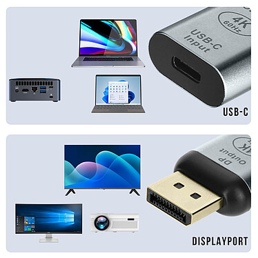 Acheter Avizar Adaptateur Vidéo USB-C femelle vers DisplayPort mâle Design Compact  Gris