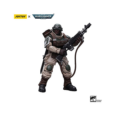 Warhammer 40k - Figurine 1/18 Astra Militarum Cadian Command Squad Veteran with Regimental Stan