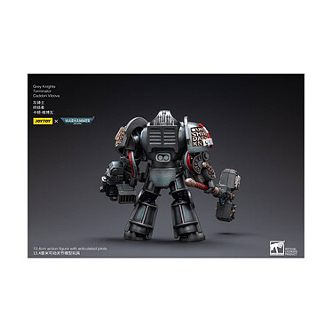Avis Warhammer 40k - Figurine 1/18 Grey Knights Terminator Caddon Vibova 13 cm