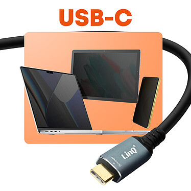 LinQ Câble USB-C vers VGA Full HD 1080p Plug and Play Longueur 1.8m pas cher