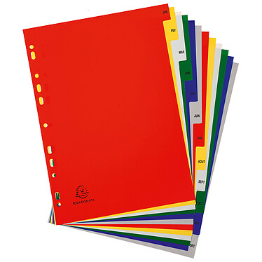 Avis EXACOMPTA Jeu d'intercalaires mensuel polypro 12 touches multicolores Format A4+ x 20
