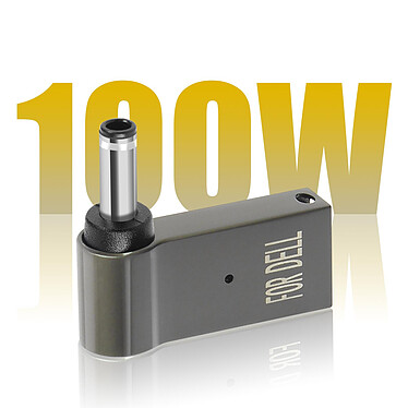 Acheter Avizar Adaptateur Charge USB-C  100W vers DC 4.5 x 3.0mm pour Ordinateur DELL