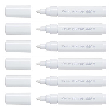 PILOT Marqueur à pigment PINTOR pointe moyenne blanc x 6