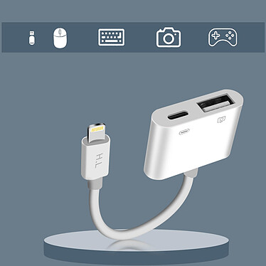 Acheter Avizar Adaptateur iPhone / iPad Lightning vers USB et Lightning Charge Compact Blanc