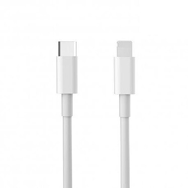 Evetane Câble blanc 2M USB C/Lightning (MFi) pour iPhone ( hormis iPhone 15 , 15 Pro, 15 Pro Max ,15 Plus)