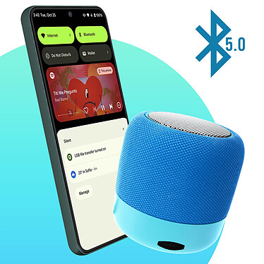 Avizar Mini Enceinte Bluetooth 5.0 Puissance Sonore 5W Radio FM Micro et Dragonne WSY01  bleu pas cher