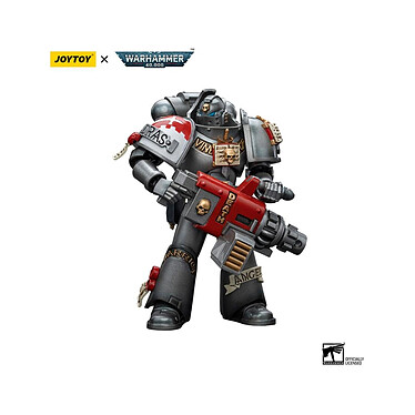 Warhammer 40k - Figurine 1/18 Grey Knights Strike Squad Grey Knight with Psycannon 12 cm