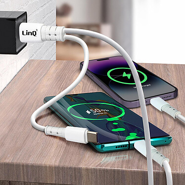 Acheter LinQ Câble USB-A / USB-C vers USB-C et Lightning Power Delivery 60W 1,2 mètre  Noir