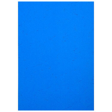 Avis RAINEX Lot de 100 Couvertures de reliure matière synthétique Carton mat 250g A4 Bleu royal x 4