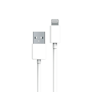 Myway Câble Lightning vers USB 2.0 Charge 12W et Synchronisation 3m Blanc