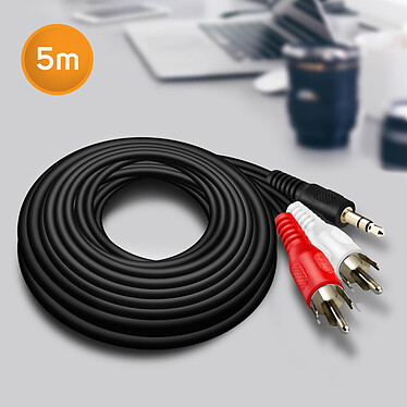 Avis LinQ Câble Audio Jack 3.5mm Mâle Vers 2x RCA Mâles 5m Son de Qualité  Noir