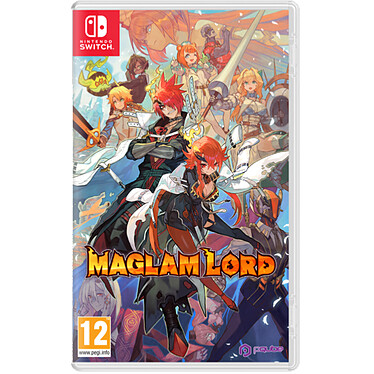 Maglam Lord Nintendo SWITCH