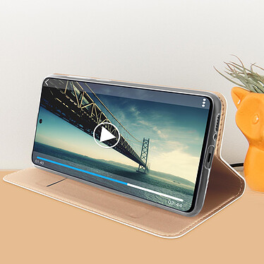 Avis Dux Ducis Etui pour Galaxy S10 Lite avec Porte-carte Support Vidéo  Rose gold