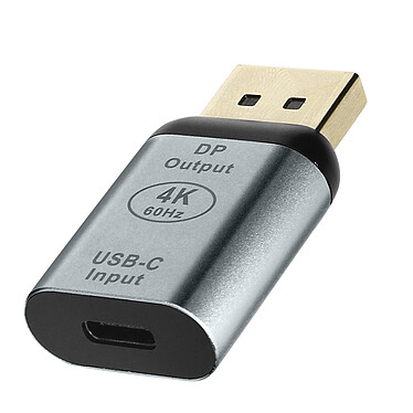 Avizar Adaptateur Vidéo USB-C femelle vers DisplayPort mâle Design Compact  Gris