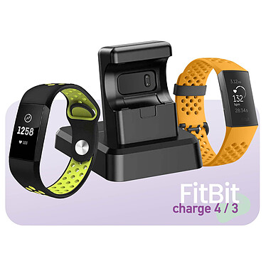 Acheter Avizar Dock de Charge Noir pour Fitbit Charge 4 et Fitbit Charge 3,  1m