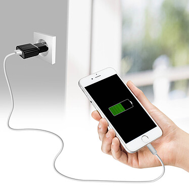Avis Devia Câble Lightning 2M Charge rapide pour iPhone/iPad Blanc